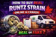 How to Buy Runtz Strain Online in Canada: Authenticity Checklist (OG vs Galactic)