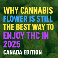 Why Cannabis Flower Remains the Best Way to Enjoy THC in 2025 | The Purple Shop Canada