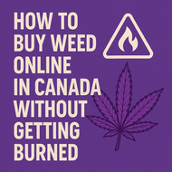 How to Buy Weed Online in Canada Without Getting Burned
