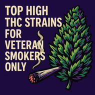Top High THC Strains for Veteran Smokers in Canada | The Purple Shop