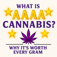What Is AAAA Cannabis? | Premium Weed Grades Explained Canada