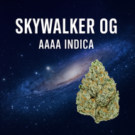 Skywalker OG AAAA Indica | Relaxation-First Strain Review (Canada) Skywalker OG AAAA Indica | Relaxation-First Strain Review (Canada)