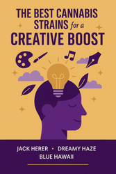 The Best Cannabis Strains in Canada for a Creative Boost