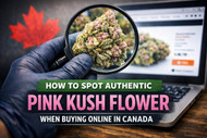 How to Spot Authentic Pink Kush Flower When Buying Online in Canada  