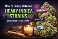 Best Heavy Indica Strains for Relaxation in Canada – How to Choose