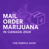 Mail Order Marijuana in Canada (2025) | The Purple Shop Online Dispensary Mail Order Marijuana in Canada (2025) | The Purple Shop Online Dispensary