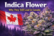 Why Indica Flower Still Dominates Canadian Cannabis Sales