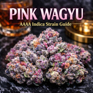 Pink Wagyu AAAA Indica Strain | Buy Online in Canada