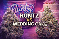Runtz vs Wedding Cake: Which Hybrid Hits Harder in Canada?