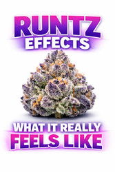 What Does the Runtz Strain Feel Like? Effects Explained (Canada Guide)
