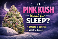 Is Pink Kush Good for Sleep? Effects, Benefits and What to Expect (Canada)