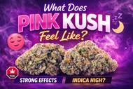 What Does Pink Kush Feel Like? Effects, Strength & Experience Explained