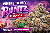 Where to Buy Runtz in Canada: Find High-Quality Runtz Flower Online