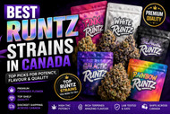 Best Runtz Strains Canada | Top Picks for Potency & Flavour