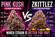 Pink Kush vs Zkittlez: Which Strain Is Stronger in Canada?