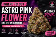 Where To Buy Astro Pink Flower Online In Canada | Premium Indica Flower
