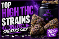 Top High THC Strains for Veteran Smokers in Canada | The Purple Shop