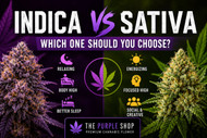 Indica vs Sativa: Which One Should You Choose in Canada?