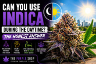 Can You Use Indica During the Daytime? The Honest Answer
