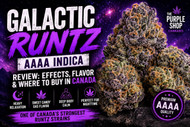 Galactic Runtz AAAA Indica Review – Effects, Flavor & Where to Buy in Canada