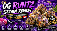OG Runtz AAAA Indica Review : Effects, Flavor and Where to Buy in Canada