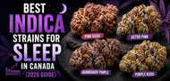 Best Indica Strains for Sleep and Insomnia in Canada (2026 Guide)