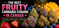 The Best Fruity Cannabis Strains in Canada: Flavour You Can Feel
