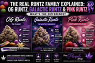 OG Runtz vs Galactic Runtz vs Pink Runtz: Canada’s Full Breakdown