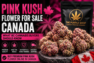 Pink Kush Flower for Sale Canada | BC Buyer’s Guide