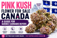 Pink Kush Flower for Sale Canada: A Guide for Quebec Cannabis Buyers