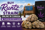 Buy Runtz Strain Online in Canada: Yukon Buyer’s Guide