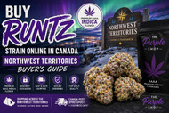 Buy Runtz Strain Online in Canada | Northwest Territories