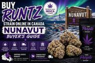 Buy Runtz Strain Online in Canada: Nunavut Buyer’s Guide