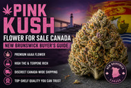 Pink Kush Flower For Sale Canada | New Brunswick Buyer’s Guide