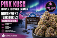 Pink Kush Flower For Sale Canada | Northwest Territories Buyer’s Guide