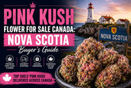 Pink Kush Flower For Sale Canada | Nova Scotia Buyer’s Guide
