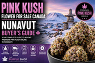 Pink Kush Flower For Sale Canada | Nunavut Buyer’s Guide