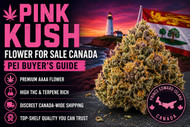 Pink Kush Flower For Sale Canada | PEI Buyer’s Guide