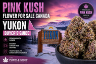 Pink Kush Flower For Sale Canada | Yukon Buyer’s Guide