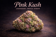 Pink Kush : Where to Buy This Legendary Indica in Canada