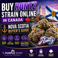 Buy Runtz Strain Online in Canada | Nova Scotia Buyer's Guide