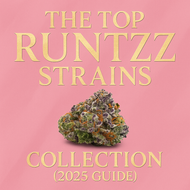 The Strongest Runtz Strains in Canada (2025) – Potency and Flavor Guide