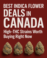 Best Indica Flower Deals in Canada | High-THC Weed Worth Buying