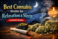 How to Choose the Best Nighttime Cannabis Flower in Canada