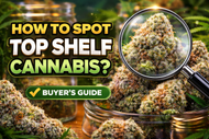 What Makes Top Shelf Cannabis? How to Spot Quality Before You Buy