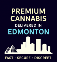 Buy Weed Online in Edmonton: Fast, Discreet, and Reliable Delivery