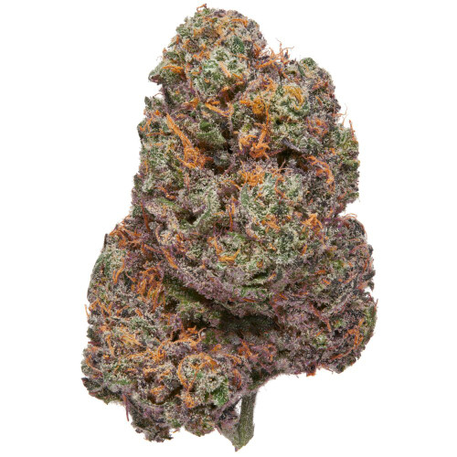 Discover Purple Haze, a legendary sativa-dominant hybrid (24–30% THC) known for its euphoric head high, creative boost, and sweet berry-citrus flavor. Shop premium Purple Haze flower online at The Purple Shop with fast, discreet shipping Canada-wide.