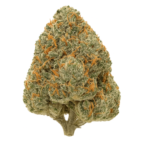 Experience Pink Banner AAAA Hybrid – 28–33% THC. A balanced cross of Bruce Banner & Pink Kush, delivering euphoria, flavor, and smooth relaxation.