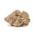 Strawberry Banana – Hybrid (THC: 23-27%)

Savor the Sweet Harmony of Strawberry Banana

Strawberry Banana is a delightful hybrid that offers the best of both worlds: a smooth, fruity flavor and a relaxing yet uplifting experience. With each puff, enjoy sweet notes of ripe strawberries and tropical banana, creating a refreshing taste that lingers long after.

This strain delivers a gentle euphoria that lifts your mood while melting away physical tension, making it perfect for both creative activities and laid-back relaxation. Whether you’re hanging out with friends or enjoying some downtime, Strawberry Banana provides a balanced high that’s versatile enough for any occasion.

Flavor Profile: Strawberry, Banana, Tropical
Effects: Uplifting, Relaxing, Mood-Boosting
Best For: Socializing, Creativity, Relaxation