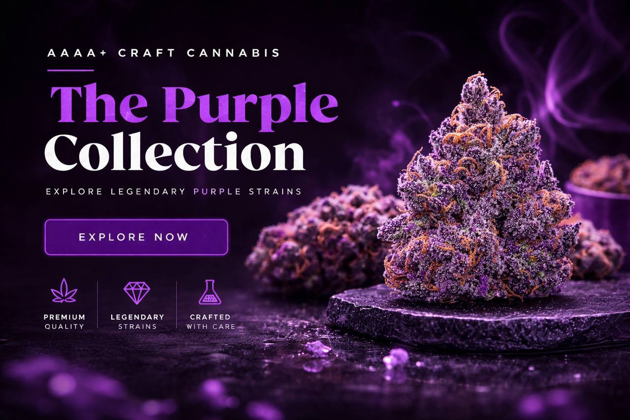 The Purple Collection